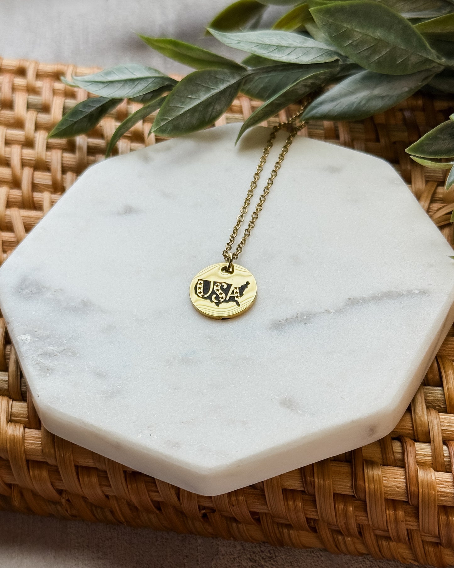 USA Disc Necklace