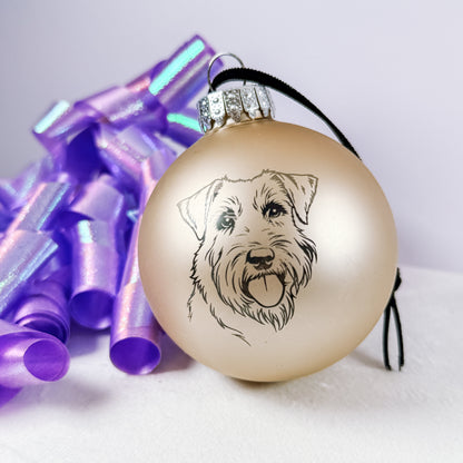 champagne matte glass ball ornament with pet engraving 