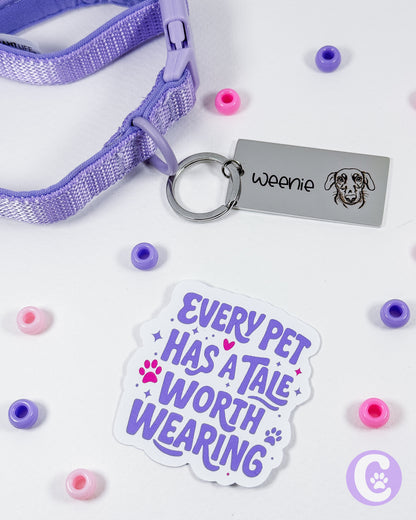 Pet collar with keychain and sticker on a white background